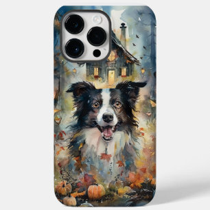 Halloween Border Collie Com Pumpkins Assustado