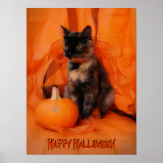 Halloween Cat Poster
