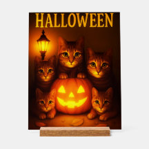 Halloween com Cat Orange Digital Art