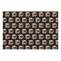 Halloween de Gato Negro Bonito | Kawaii Pumpkin