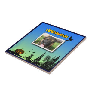 Halloween Dusk com Witch Adicionar Fotografia