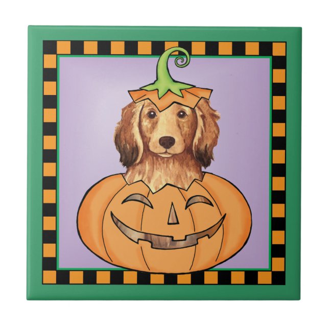 Halloween Longhaired Dachshund (Frente)