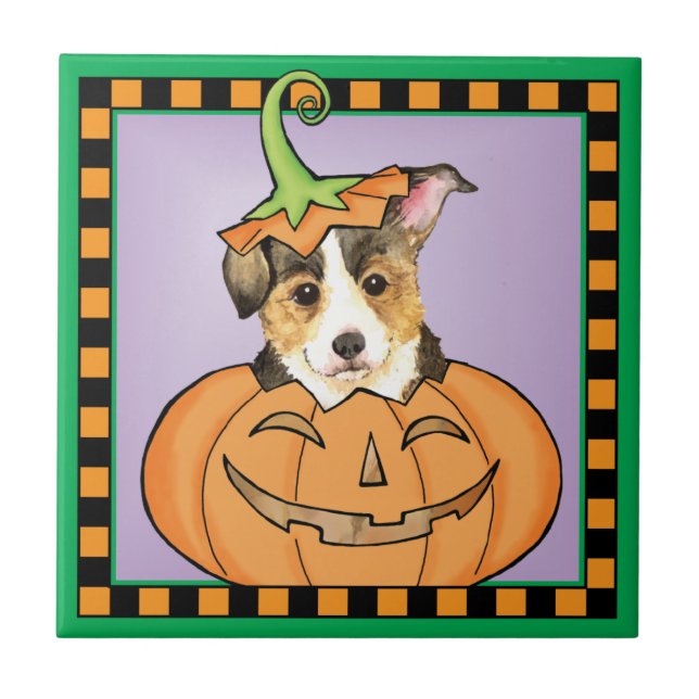 Halloween Pembroke Welsh Corgi (Frente)