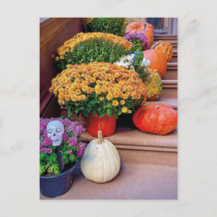 Halloween Pumpkin Stairs New York Cartão postal NY