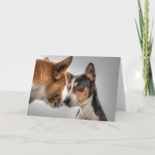 HAMbWG - Cartão de Saudação - 2 Cães (Frente)