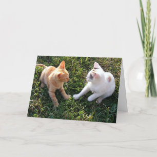 HAMbWG - Cartão de Saudação - 2 Gatos