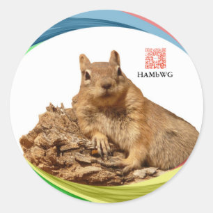 HAMbWG - etiqueta - cores do logotipo de w do