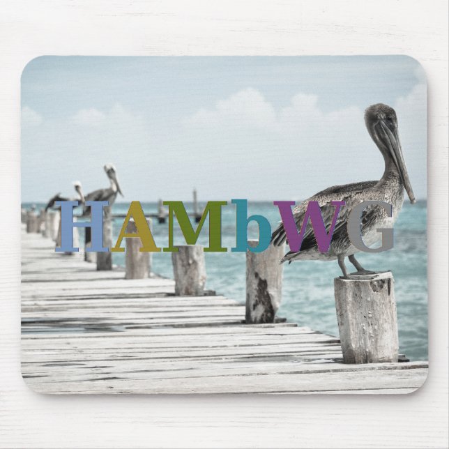 HAMbyWG - Mouse Pad - Pelicanos em Pock (Frente)