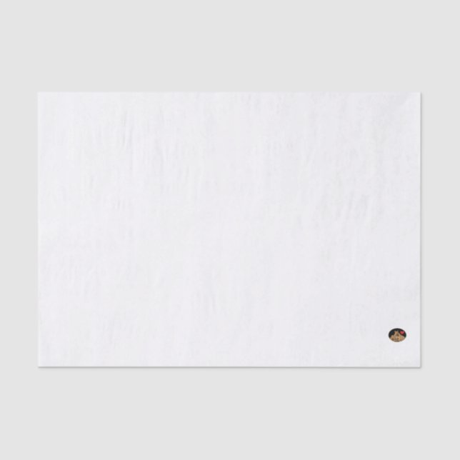 HAMbyWG - Papel tecidular de 10 lb, azul claro (Frente )