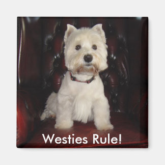 Hamish McTavish Westies Rule Imã de geladeira