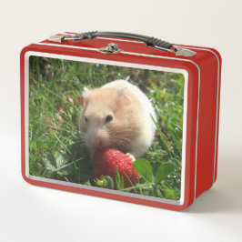 Hammie com Morangos Metal Lunchbox