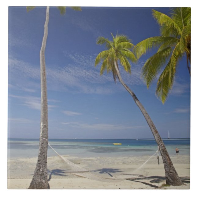 Hammock e palmeiras, estância de Plantation Island (Frente)