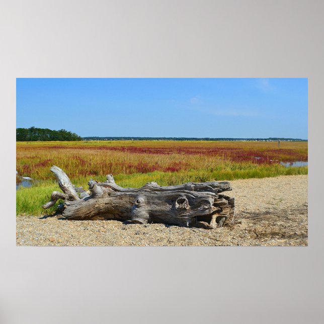 Hammonasset Driftwood Poster (Frente)