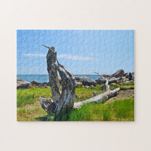 Hammonasset Driftwood Quebra-cabeça