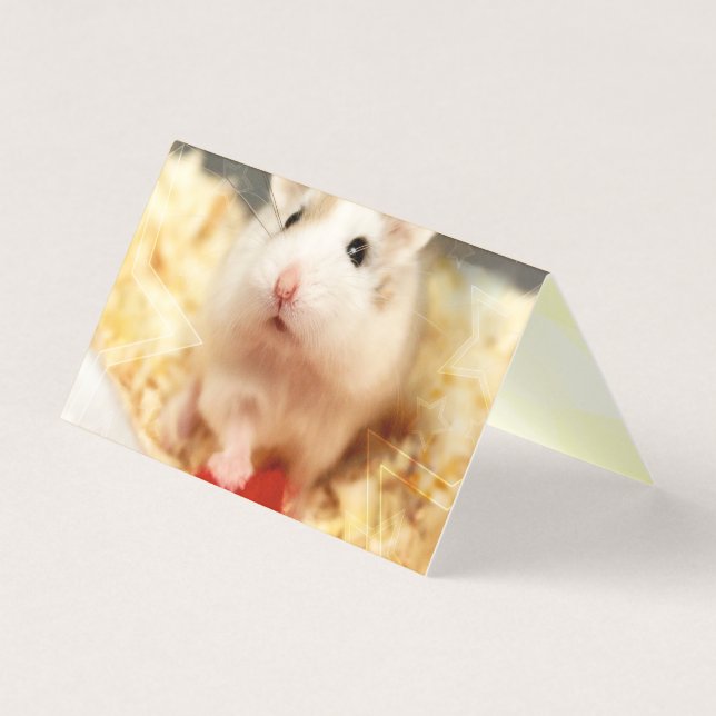 Hammyville - Hamster Bonito (Frente)