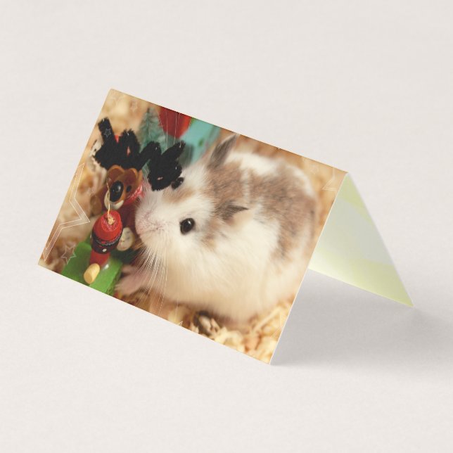 Hammyville - Hamster Bonito (Frente)