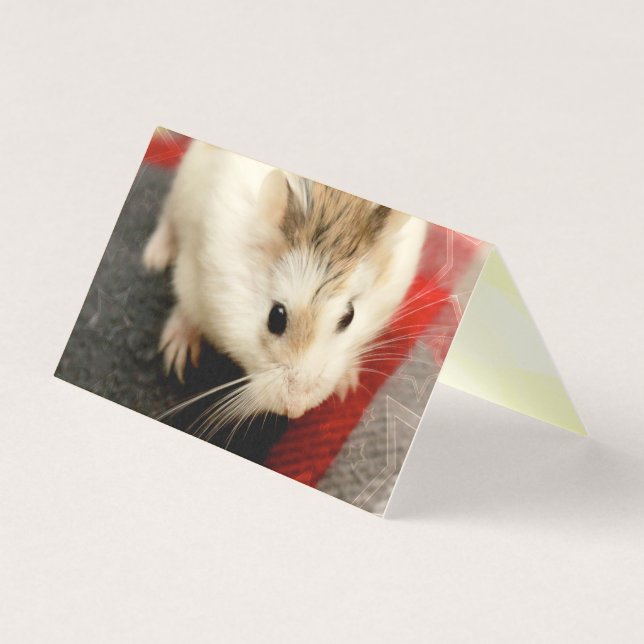 Hammyville - Hamster Bonito (Frente)