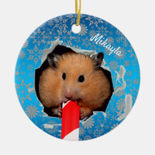 Hamster Chews Hole em Enfeites de natal