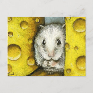 Hamster em um cartão postal de prateleira de queij