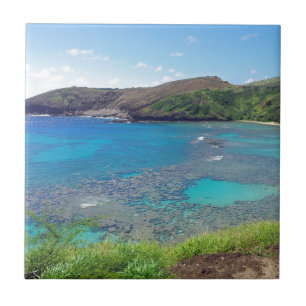 Hanauma Bay Oahu Hawaii