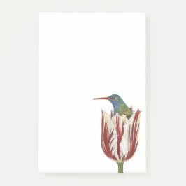 Hans o beija-flor em um bloco de notas de Posto de