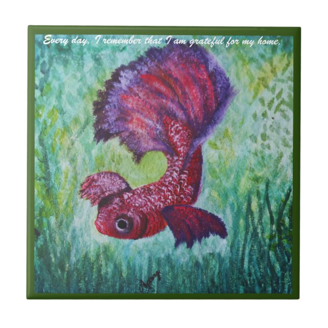 Happy betta fish enjoying his home (Frente)