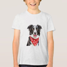 Happy Border Collie com Bandana Vermelha
