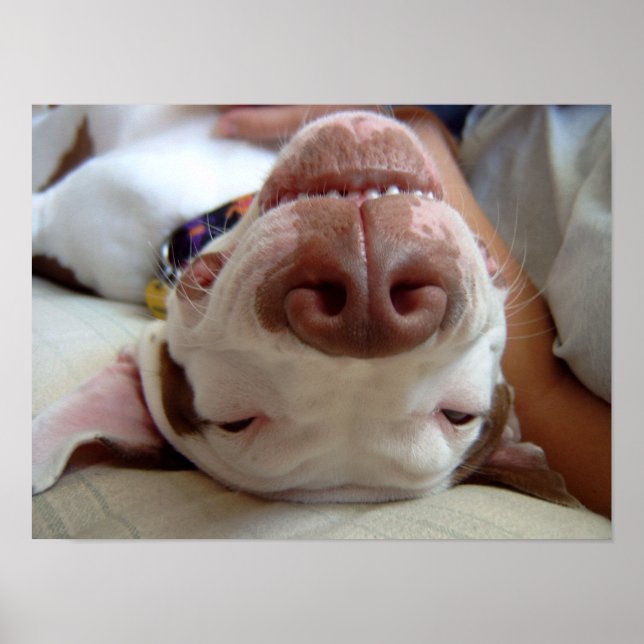 Happy Dog Impressão (Frente)