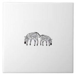 Happy Kenyan Zebras White