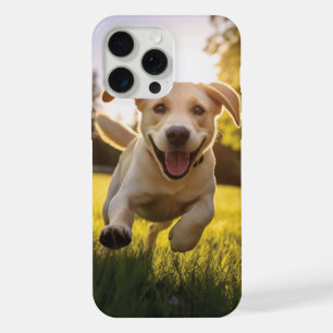 Happy Labrador Puppy em execução