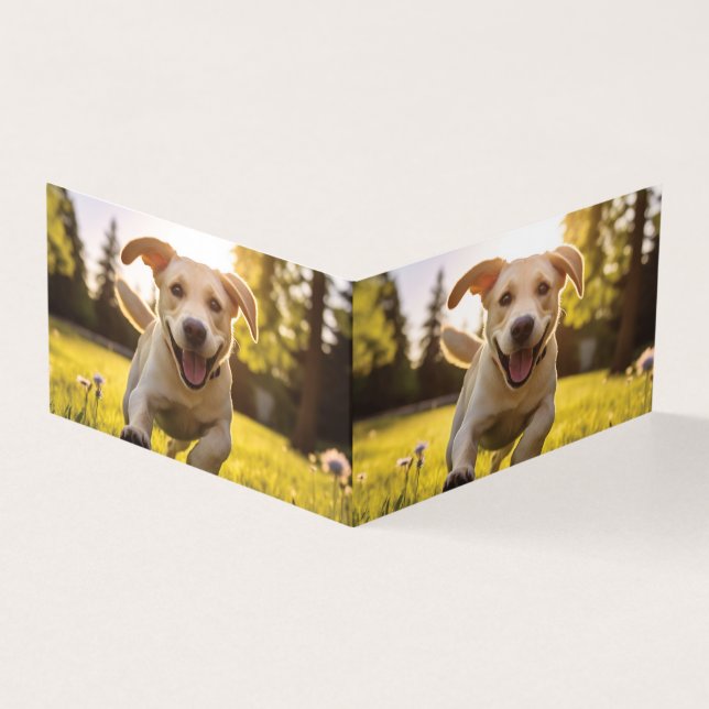 Happy Labrador Puppy em execução (Exterior)