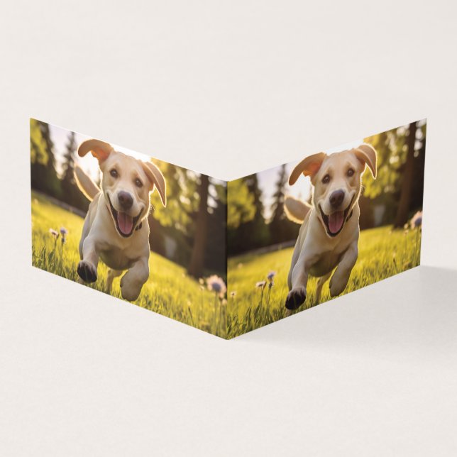 Happy Labrador Puppy em execução (Exterior)