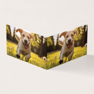 Happy Labrador Puppy em execução