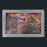 Happy Tau<br><div class="desc">Happy Tau, leão no idioma do Botsuana, impressões de fotos da natureza e presentes mostram uma bela fotografia de um jovem leão na África tirada por Kurt Keller com uma câmera de 35 mm enquanto estava em um safari africano em Botswana. Quem ama animais e todos os amantes de leões...</div>