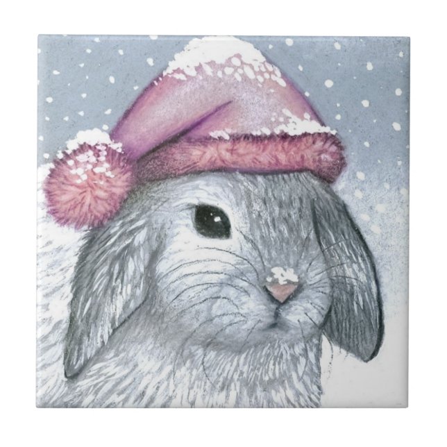 Hare 14 rabbit (Frente)