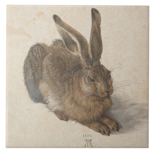 Hare (por Albrecht Dürer) (Frente)
