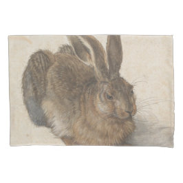 Hare (por Albrecht Dürer)
