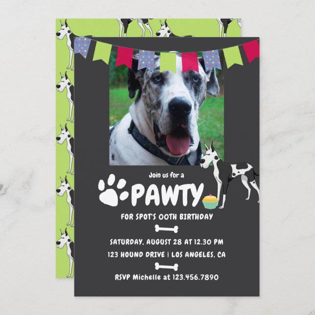 Harlequin Great Dane Birthday convite para fotos (Frente/Verso)
