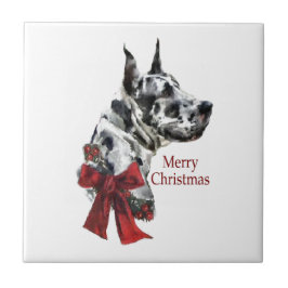 Harlequin Great Dane Christmas