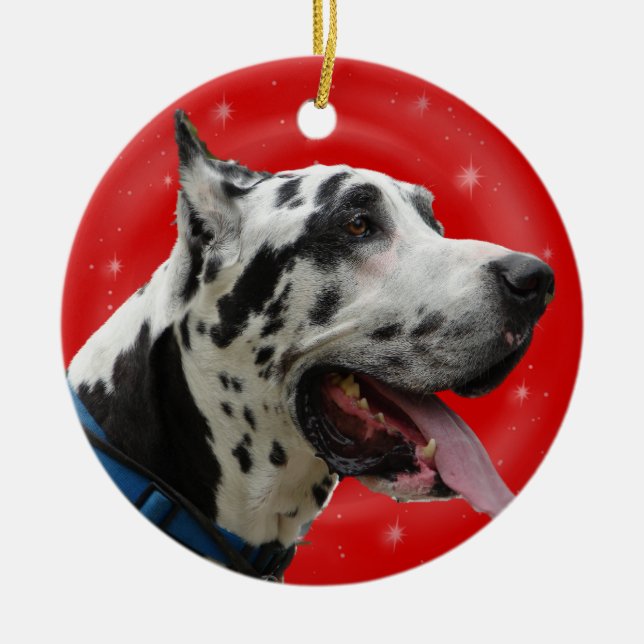 HARLEQUIN GREAT DANE DOS ENFEITES DE NATAL (Frente)