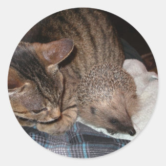 Harold a etiqueta do ouriço