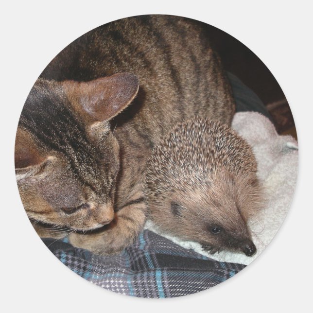 Harold a etiqueta do ouriço (Frente)