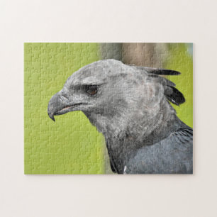 Harpy Eagle Jigsee Toy Quebra-cabeça