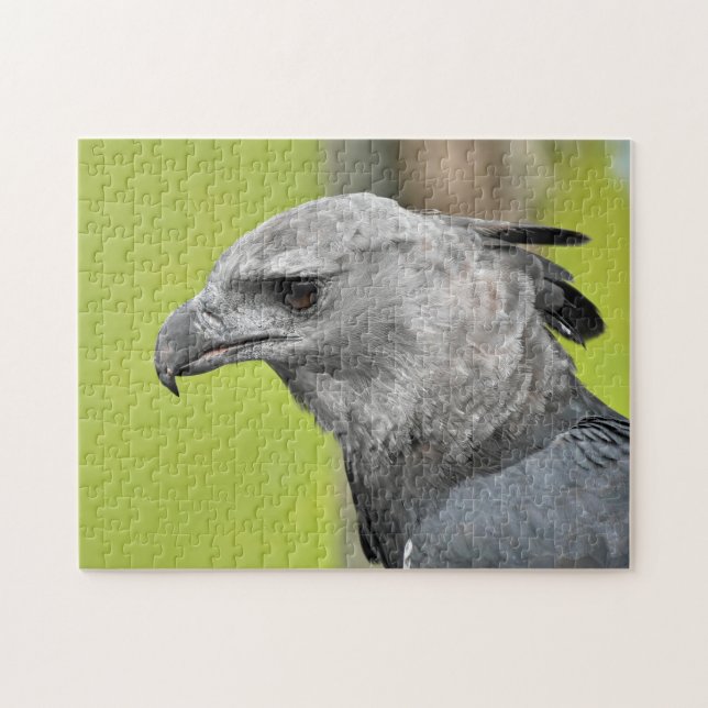 Harpy Eagle Jigsee Toy Quebra-cabeça (Horizontal)