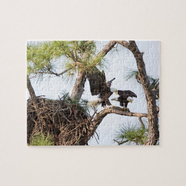 Harriet & quebra-cabeça de M (Horizontal)