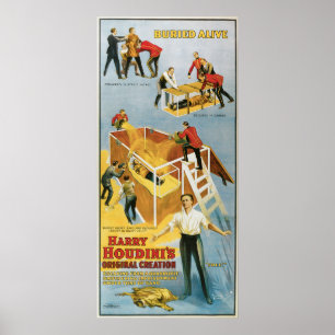 Harry Houdini, poster vintage vivo enterrado, 1914