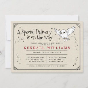 Harry Potter   Chã de Bebê da Hedwig com Entrega E