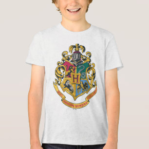 Harry Potter Hogwarts Crest - Full Color