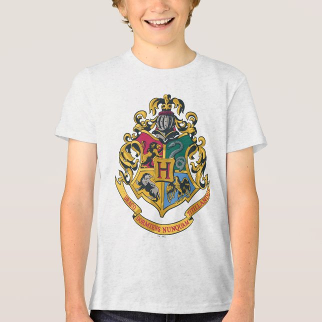 Harry Potter | Hogwarts Crest - Full Color (Frente)