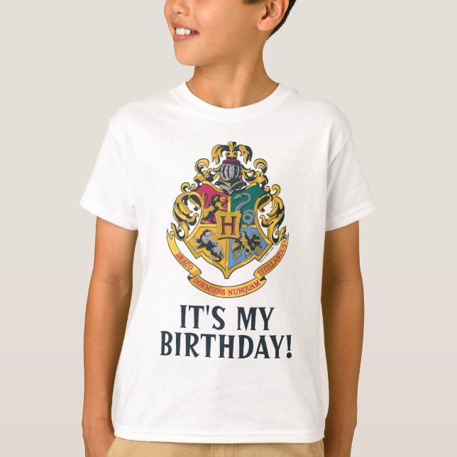 Harry Potter | Hogwarts - É a minha camisa de aniv (Frente)